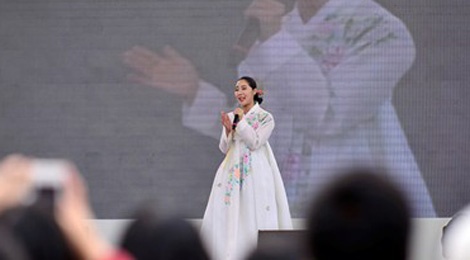 Viet Nam dong dang cai to chuc Le hoi van hoa the gioi 2017 hinh anh