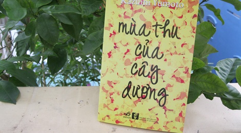 Lang lai tam hon voi ‘Mua thu cua cay duong’ hinh anh