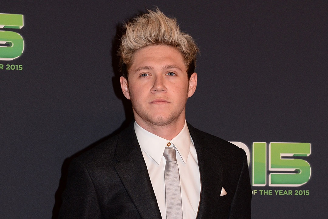 Niall Horan dut ao roi khoi One Direction hinh anh