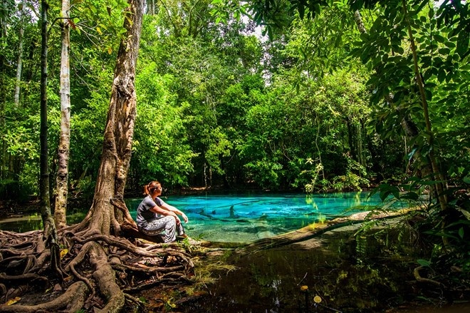 Tác giả Đinh Hằng ảnh 2 Tac gia Dinh Hang anh 2