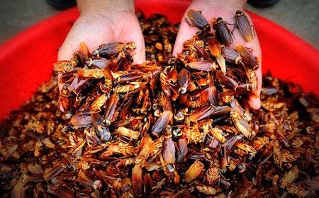 Lam dep kinh di tu gian, oc sen, rep hinh anh