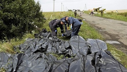 Vu MH17: Phat hien nan nhan mang mat na duong khi hinh anh