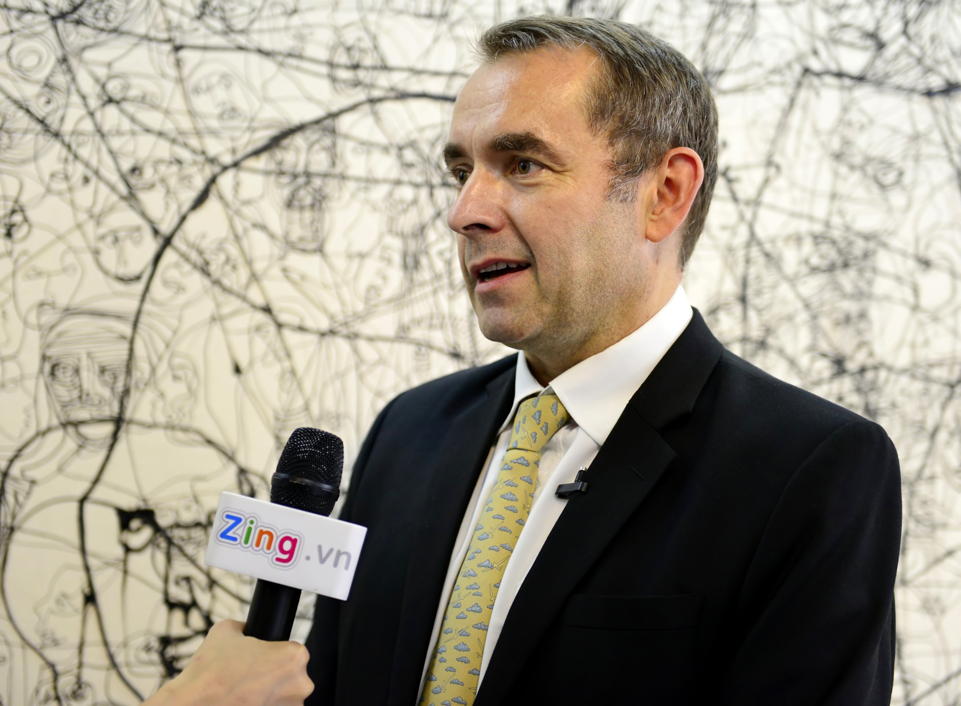 Dai su Phap chao doc gia Zing.vn hinh anh