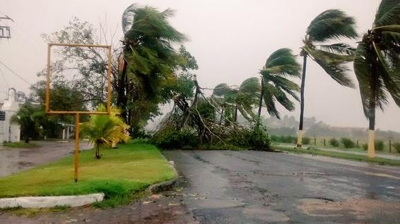 Bao lon ky luc Patricia do bo Mexico hinh anh