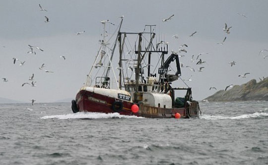 VN len tieng ve 6 ngu dan mat tich cung tau ca Han Quoc hinh anh