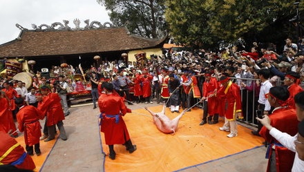 Khong to chuc chem lon giua san dinh hinh anh