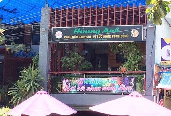 Tong giam doc cong ty da cap lua dao anh 1