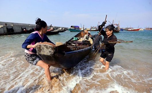 Thu mua toan bo hai san danh bat xa bo cua nguoi dan hinh anh