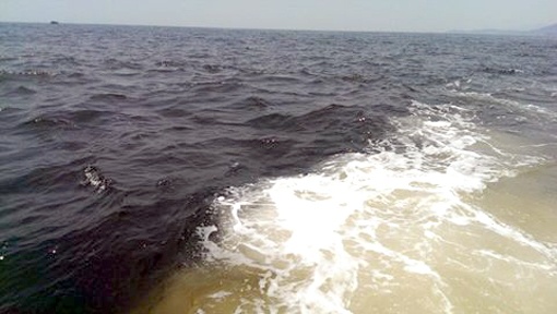 Vet nuoc nau sam keo dai 10 km tren bien Ha Tinh hinh anh