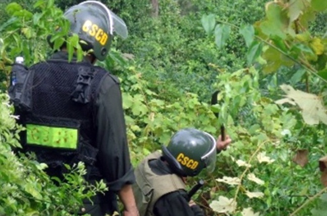 Hon 100 nguoi lung ke giet nu sinh Da Nang hinh anh