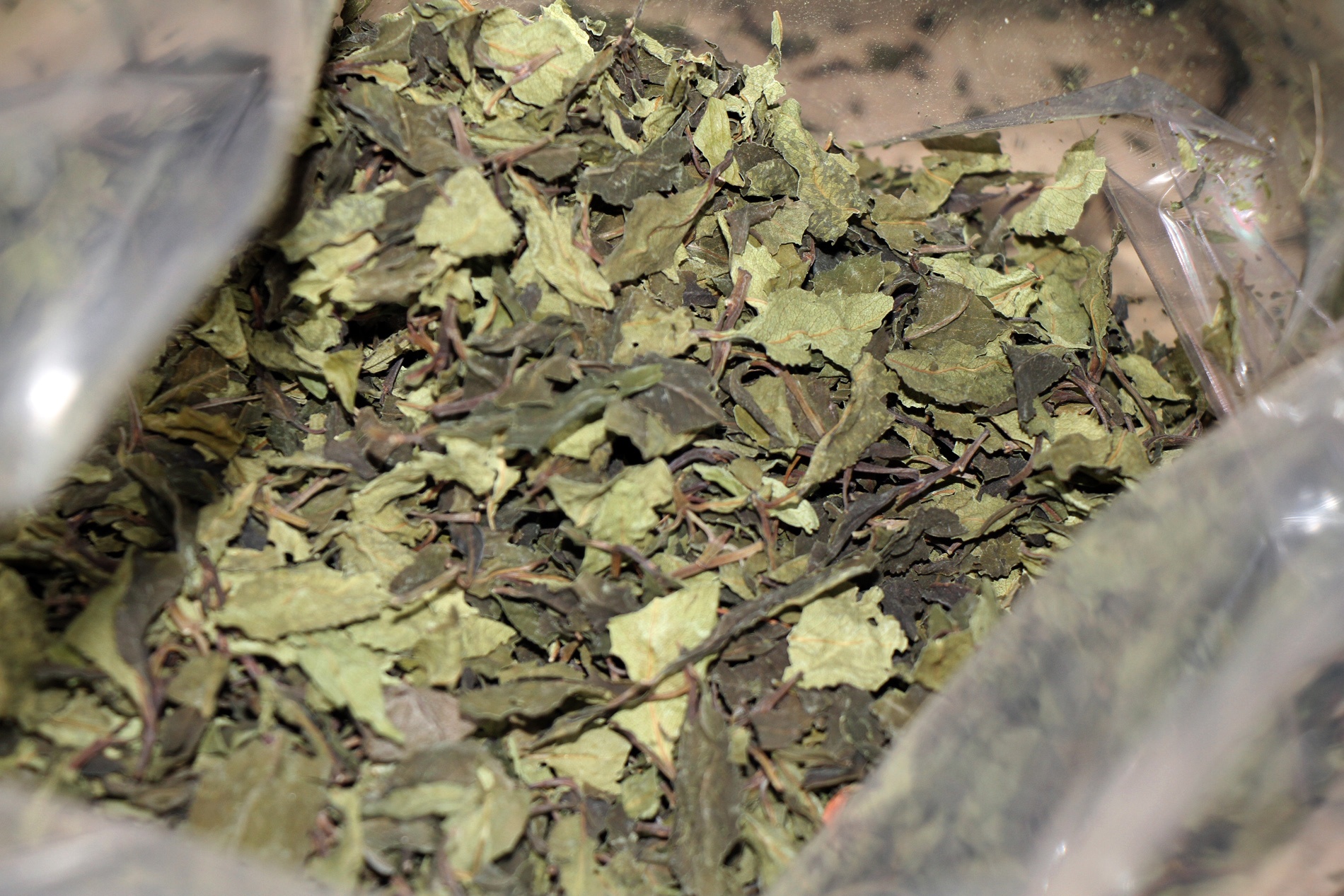 2, 5 tan ma tuy Khat cuc doc anh 9