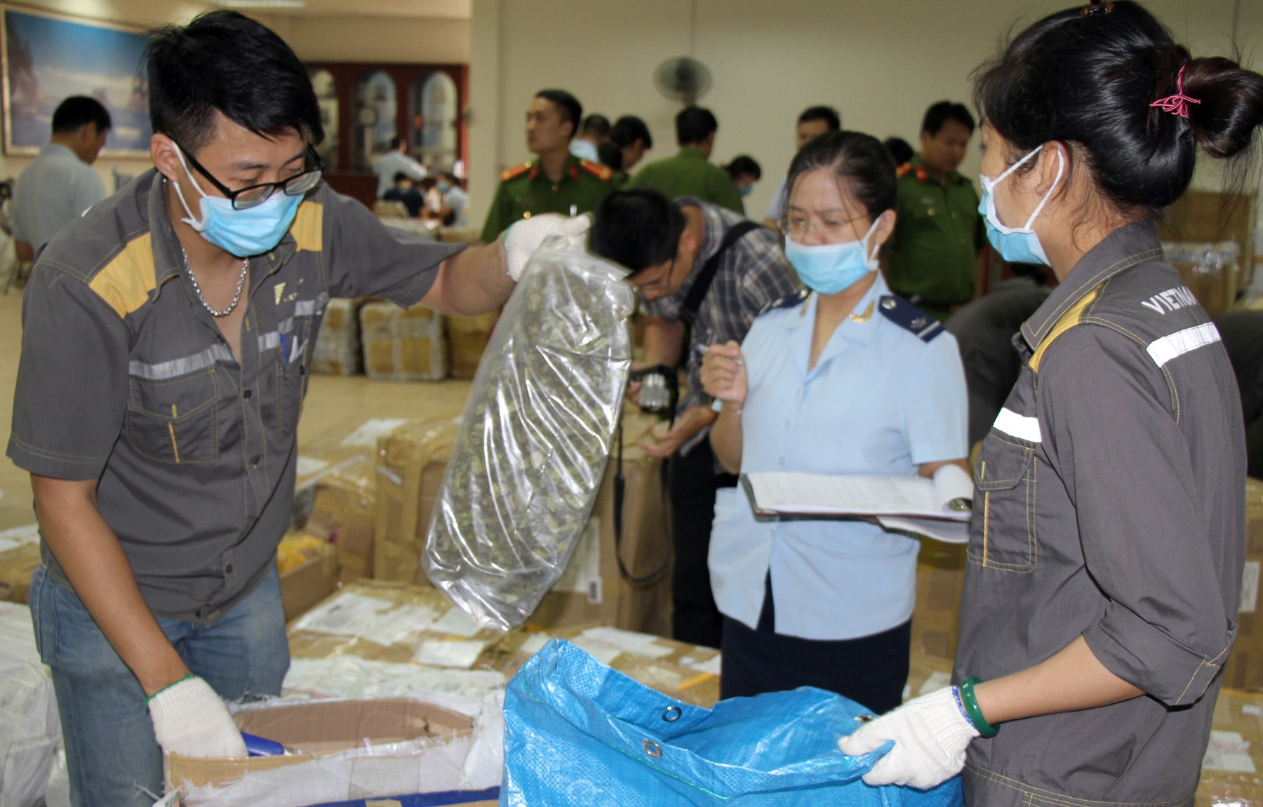 ma tuy 'Khat' cuc doc anh 1