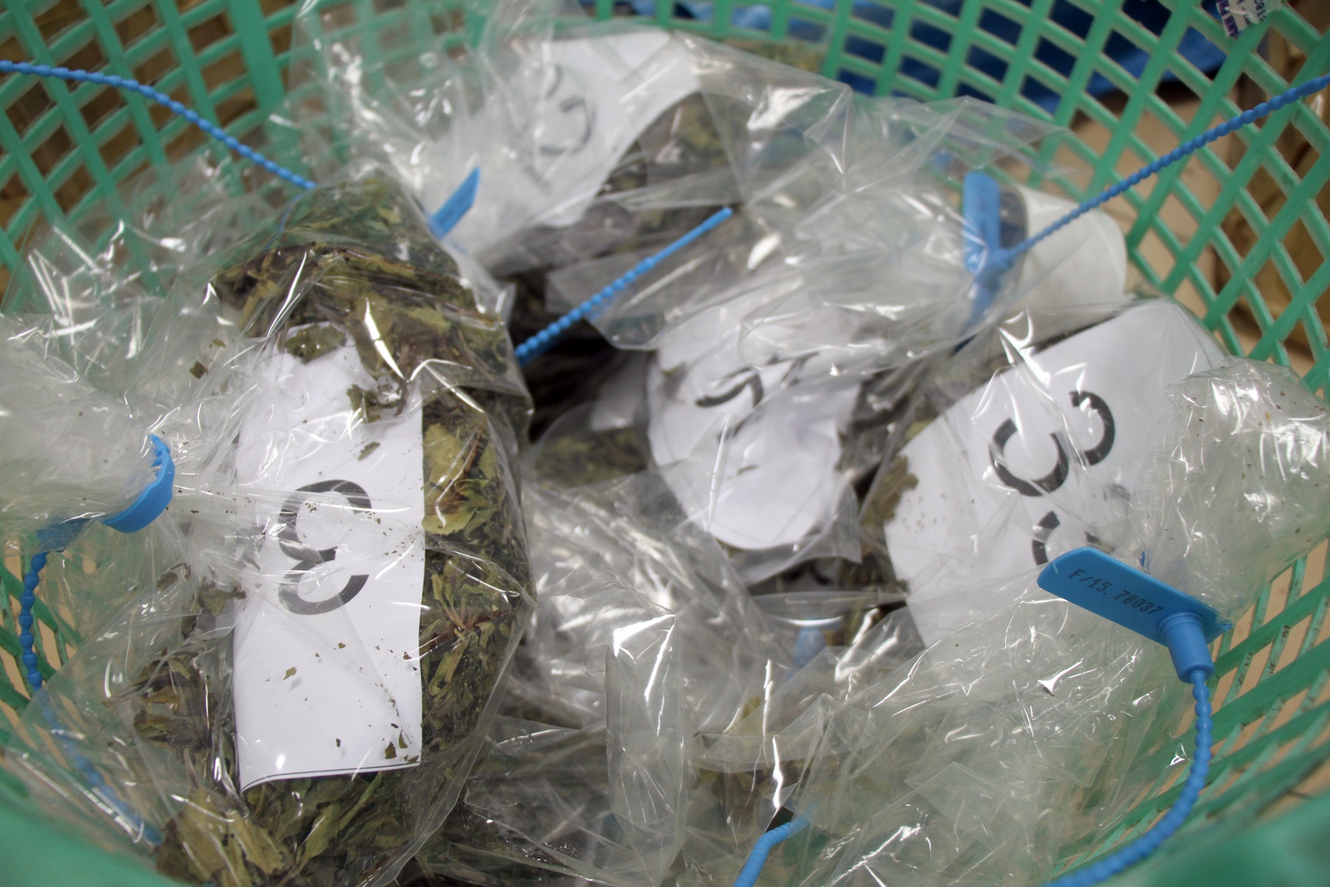 2, 5 tan ma tuy Khat cuc doc anh 10