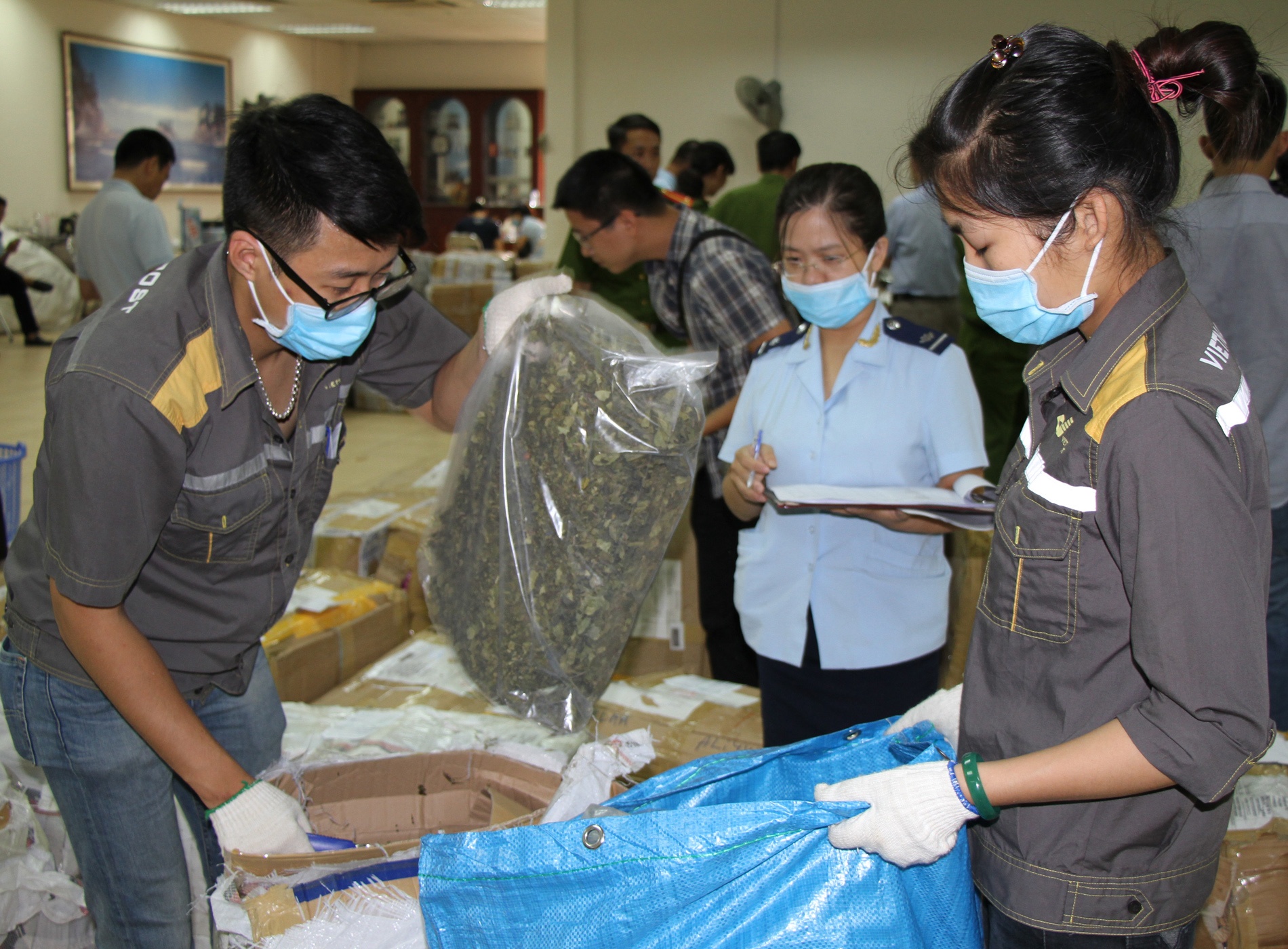 2, 5 tan ma tuy Khat cuc doc anh 1