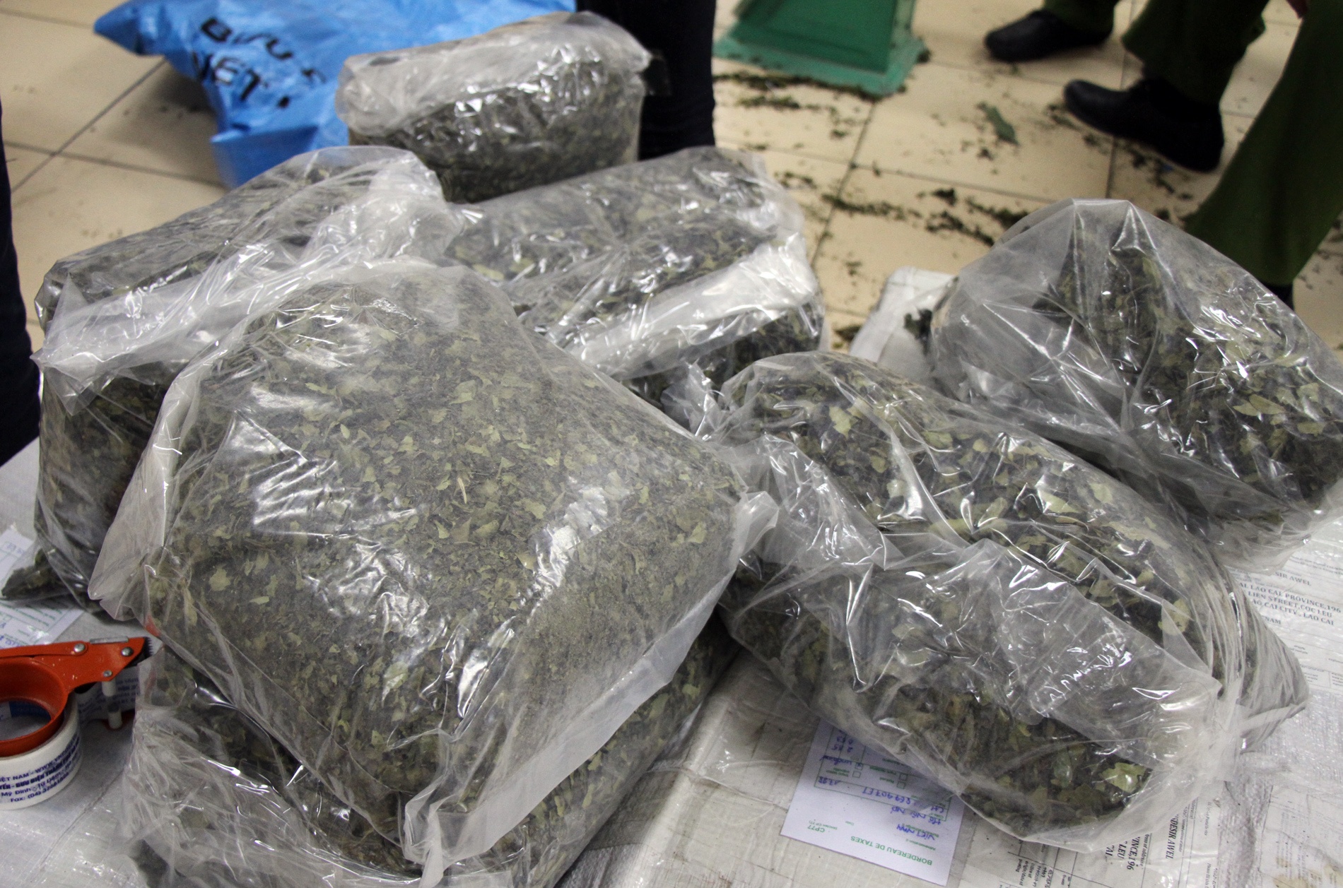 2, 5 tan ma tuy Khat cuc doc anh 3