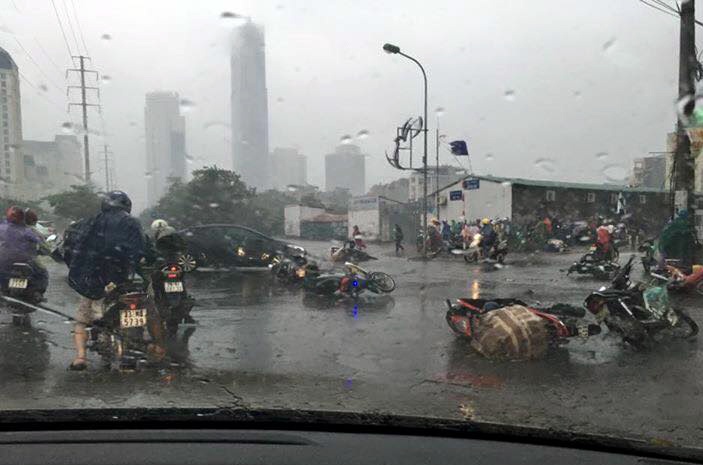 Hinh anh tan hoang sau bao Mirinae anh 3