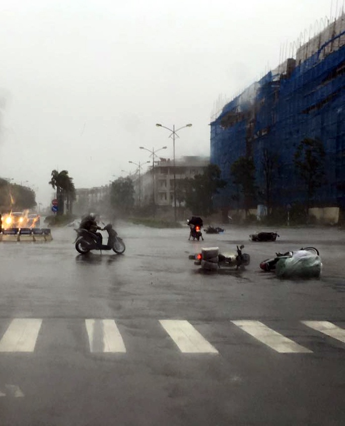 Hinh anh tan hoang sau bao Mirinae anh 4