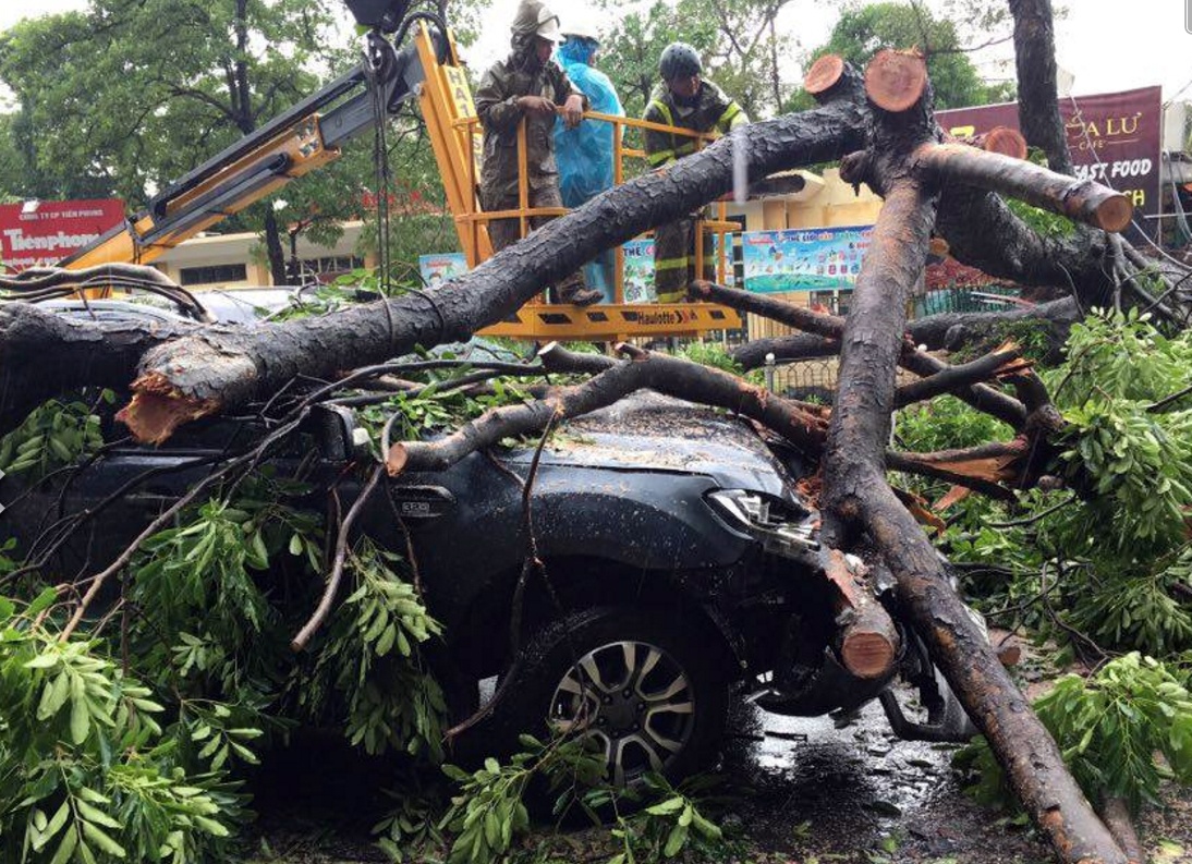 Hinh anh tan hoang sau bao Mirinae anh 9