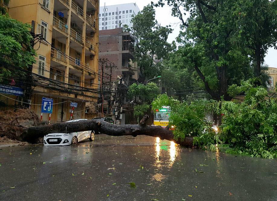 Hinh anh tan hoang sau bao Mirinae anh 8