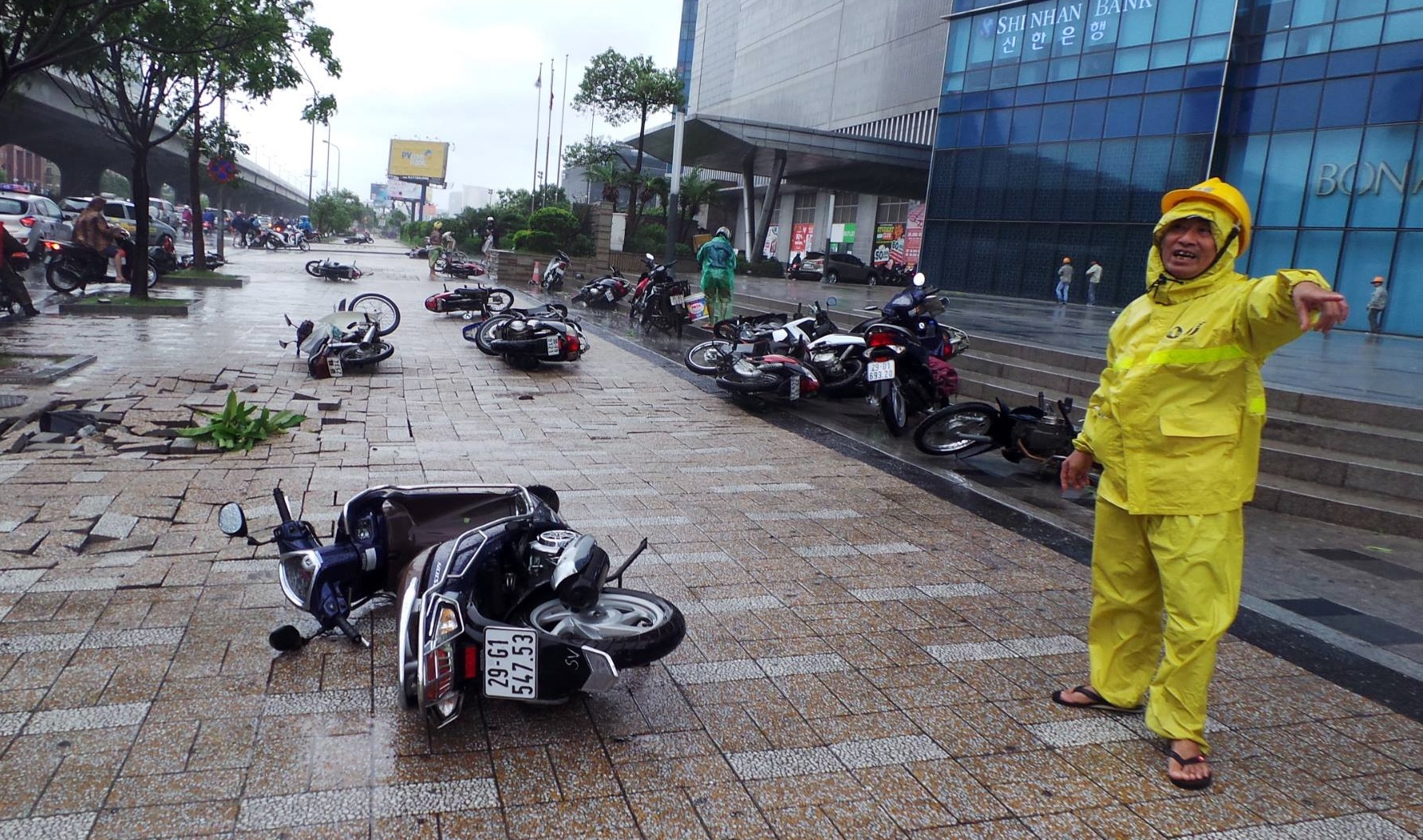 Hinh anh tan hoang sau bao Mirinae anh 1