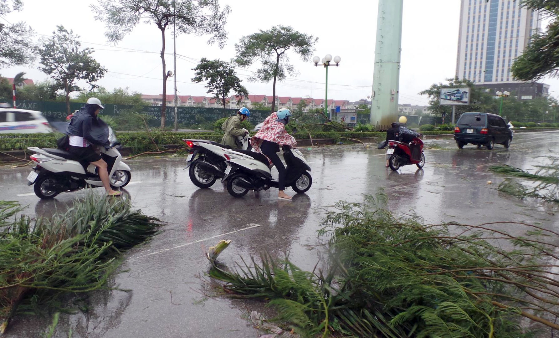 Hinh anh tan hoang sau bao Mirinae anh 2