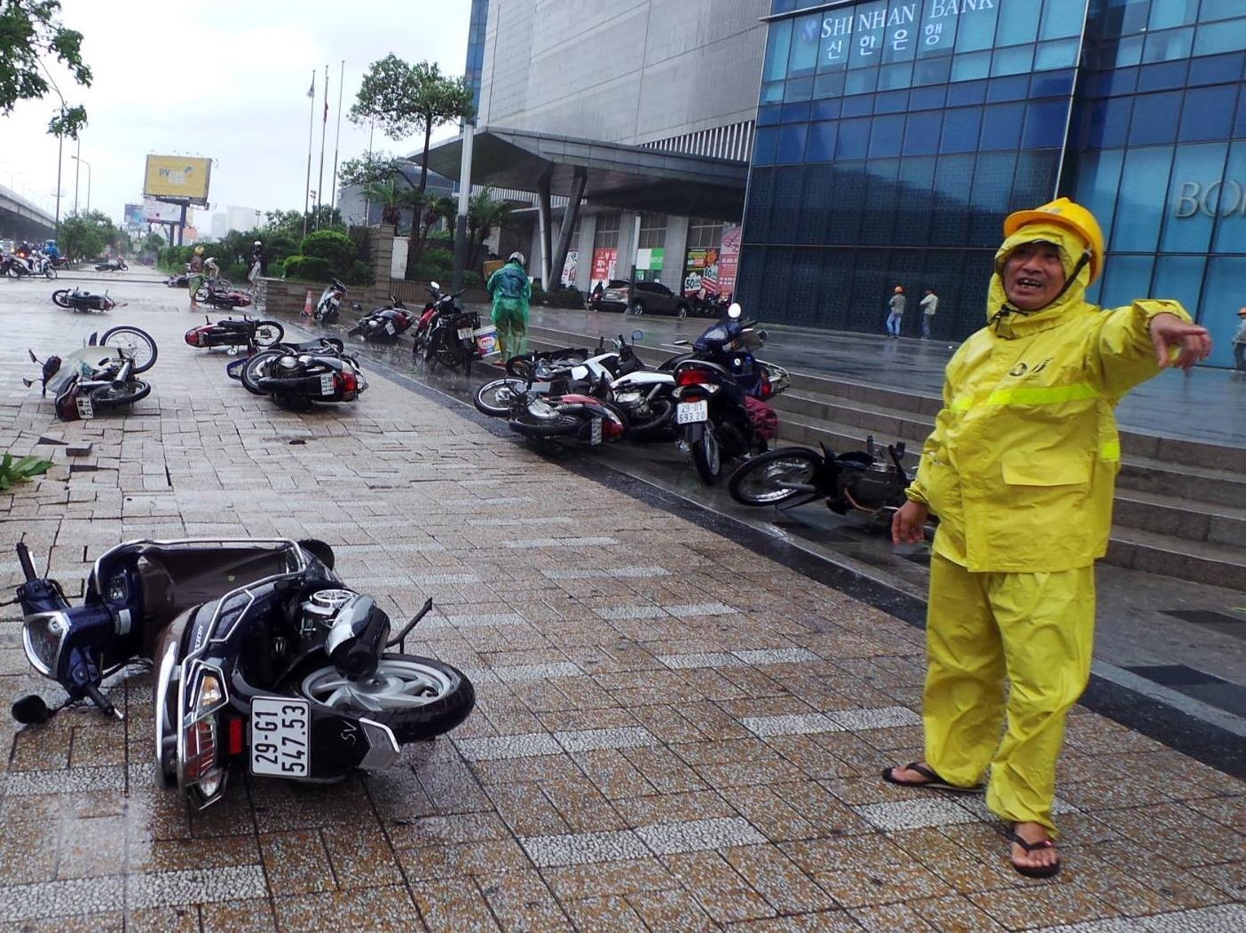 Dan mang chia se hinh anh tan hoang sau bao Mirinae hinh anh