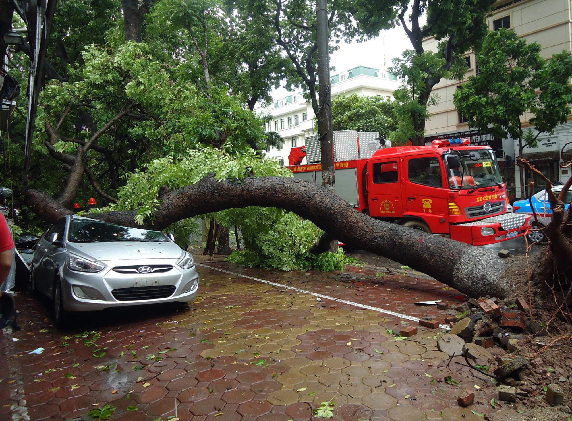 Hinh anh tan hoang sau bao Mirinae anh 5
