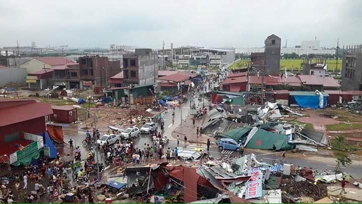 Voi rong thoi bay hang chuc mai nha anh 1