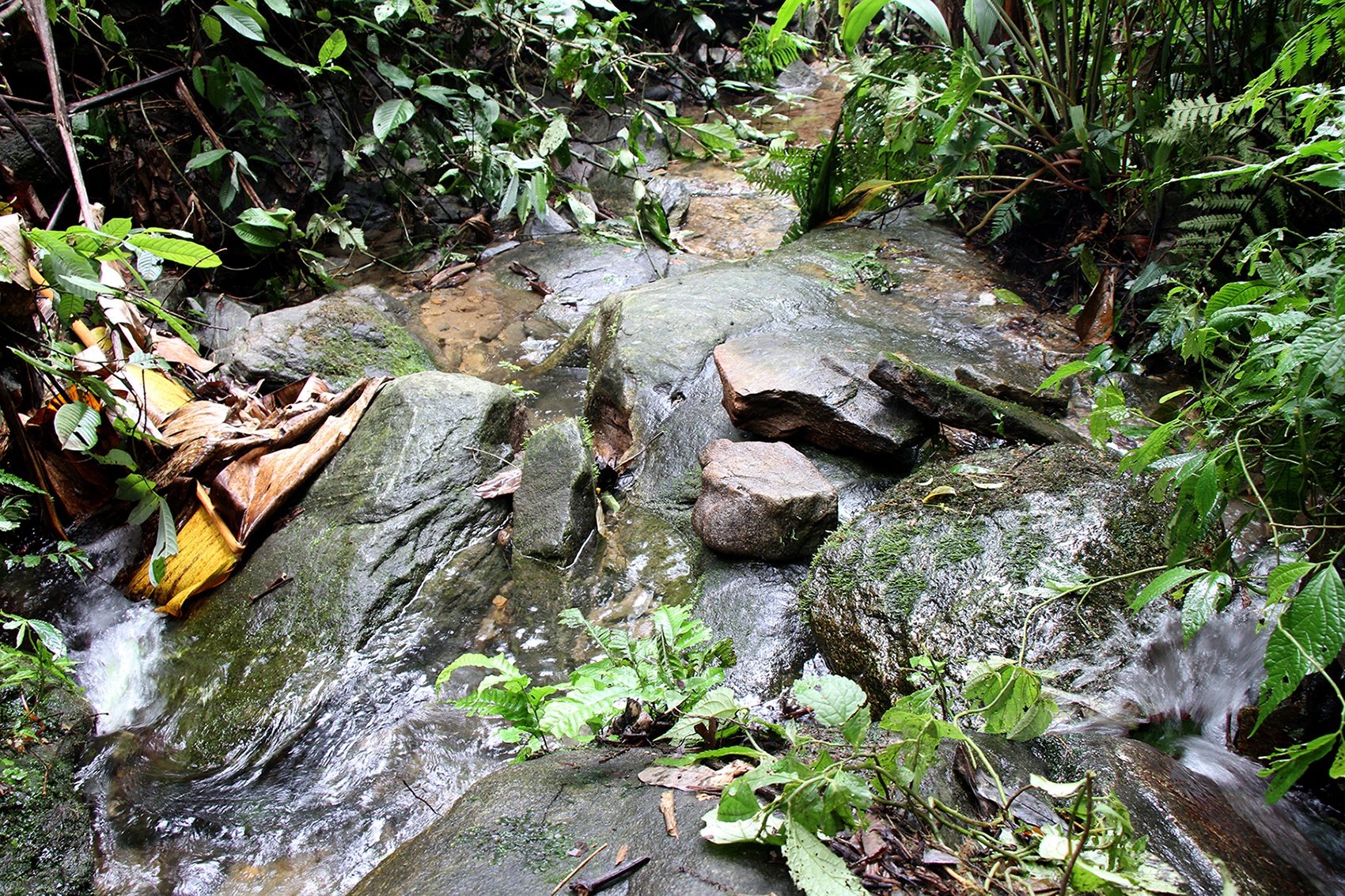 Giet 4 nguoi o Lao Cai anh 9