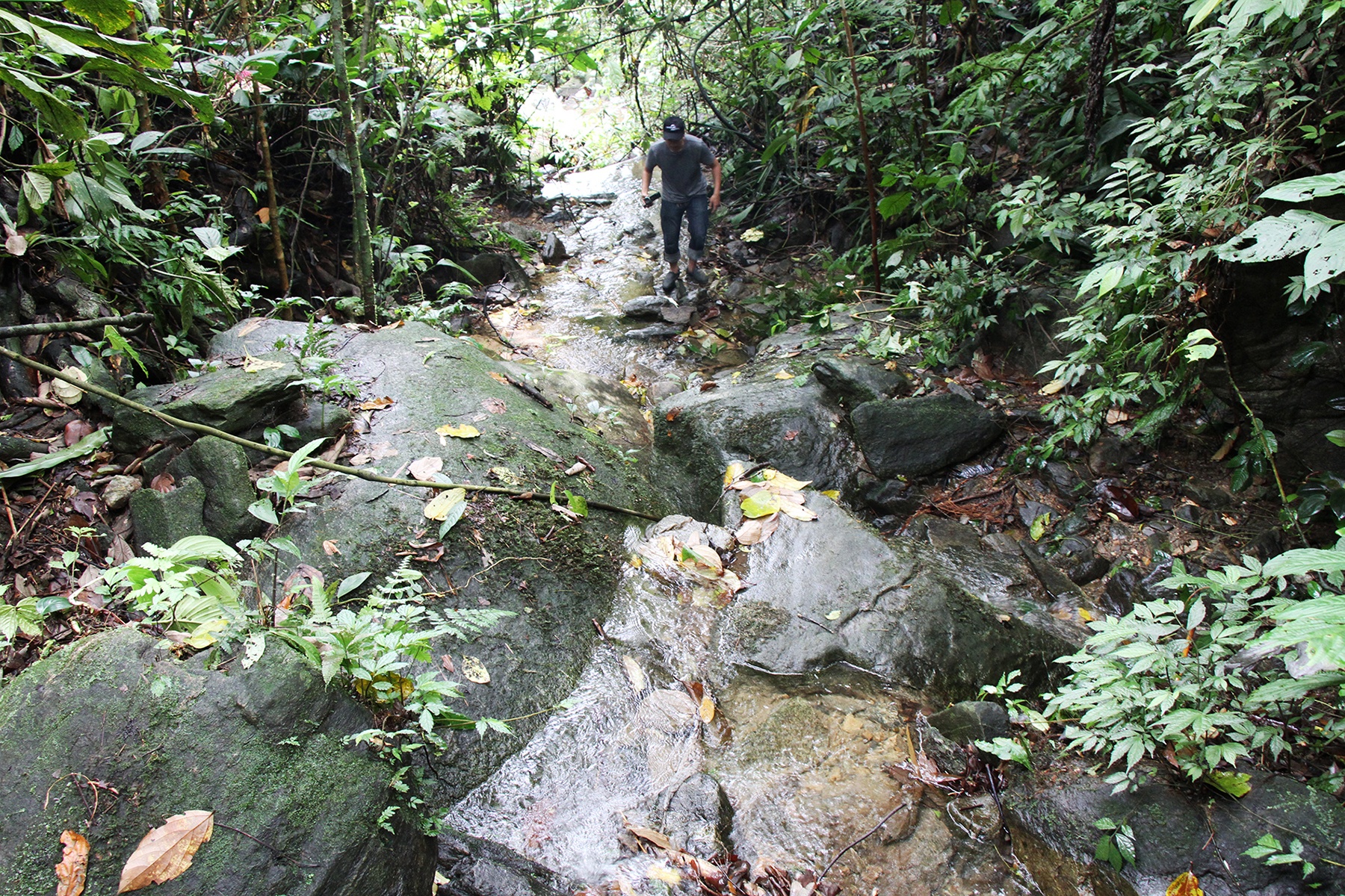 Giet 4 nguoi o Lao Cai anh 8