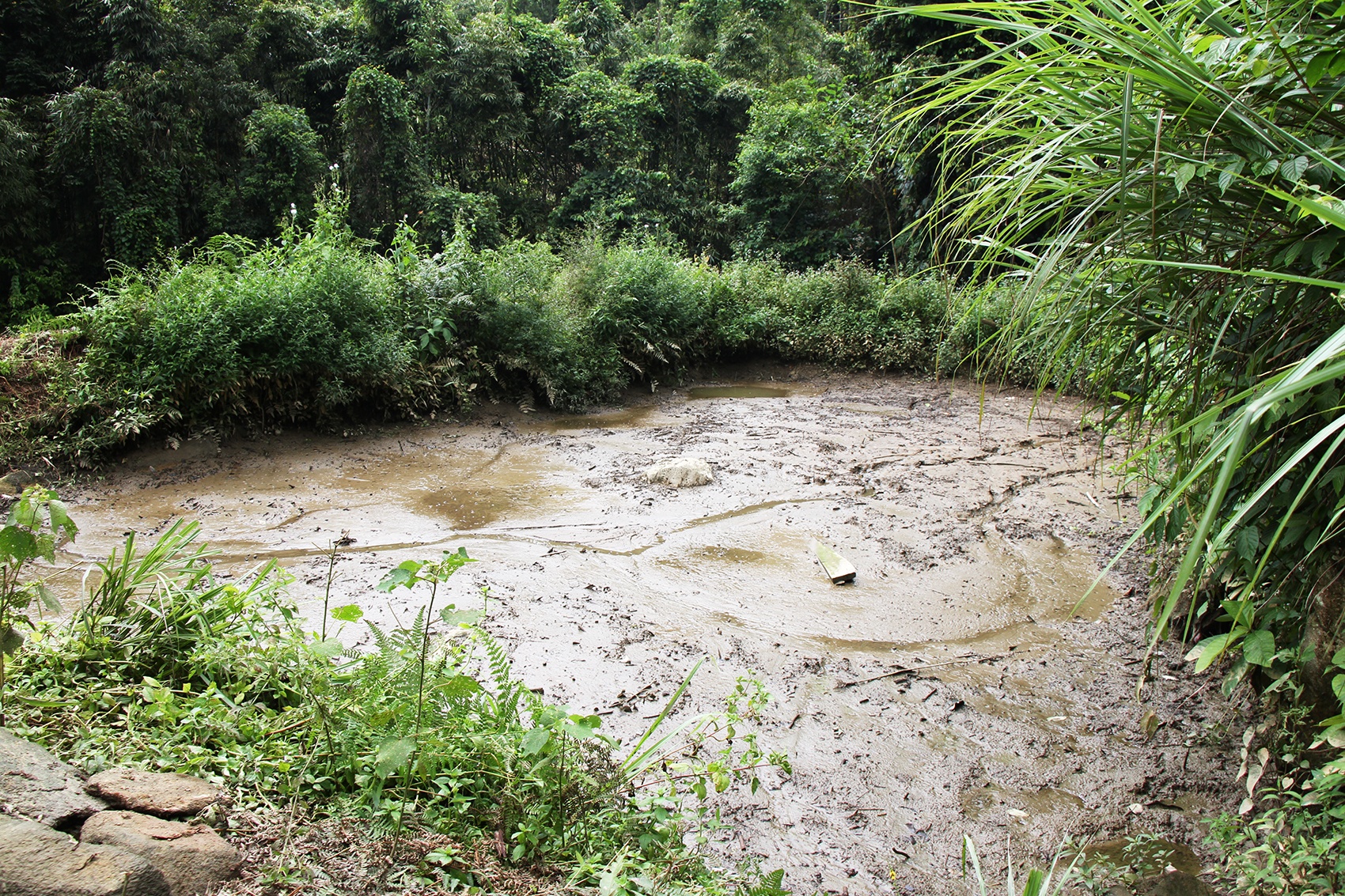 Giet 4 nguoi o Lao Cai anh 11