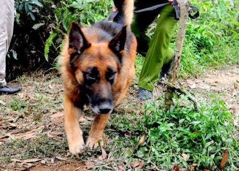 Cho nghiep vu truy tim nghi can giet 4 nguoi o Lao Cai hinh anh