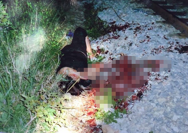 Thue chat chan tay lay 3, 5 ty anh 1