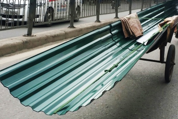 chet do ton cua co anh 1