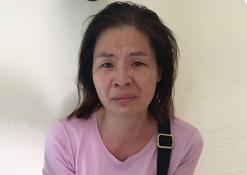 Hai nguoi Trung Quoc tiep tay cho nhom lua dao cong nghe cao hinh anh