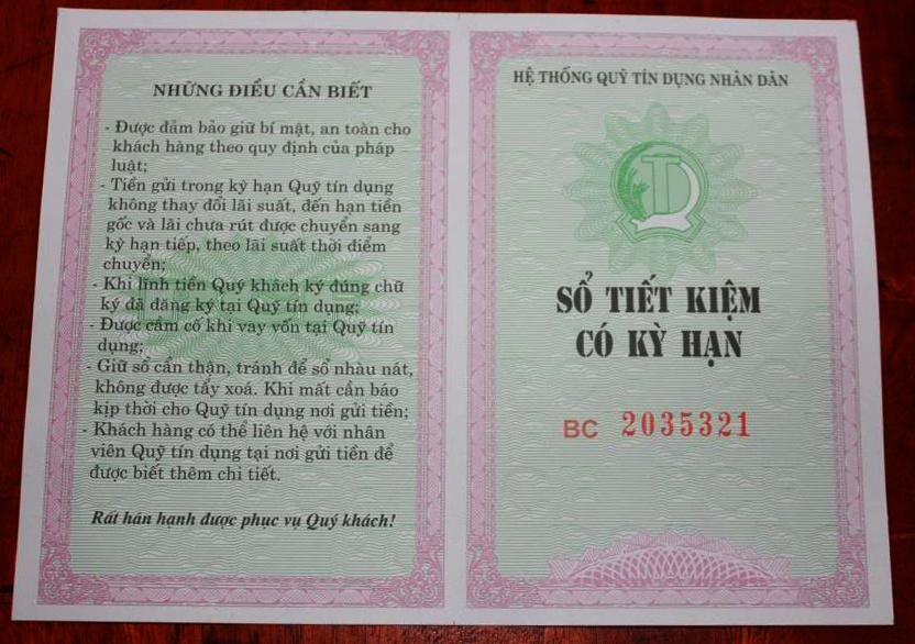 Nu giam doc quy tin dung phat hanh so tiet kiem gia hinh anh