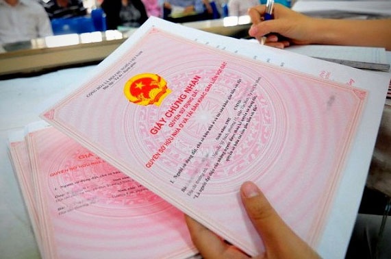 Tong giam doc lua ban can ho cua du an bi thu hoi hinh anh