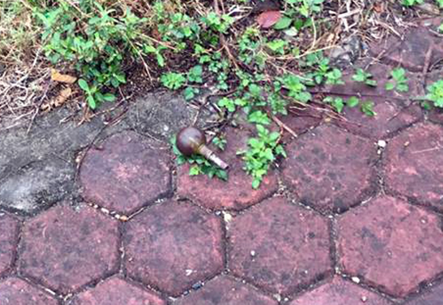 Vet truot cua nu sinh anh 2