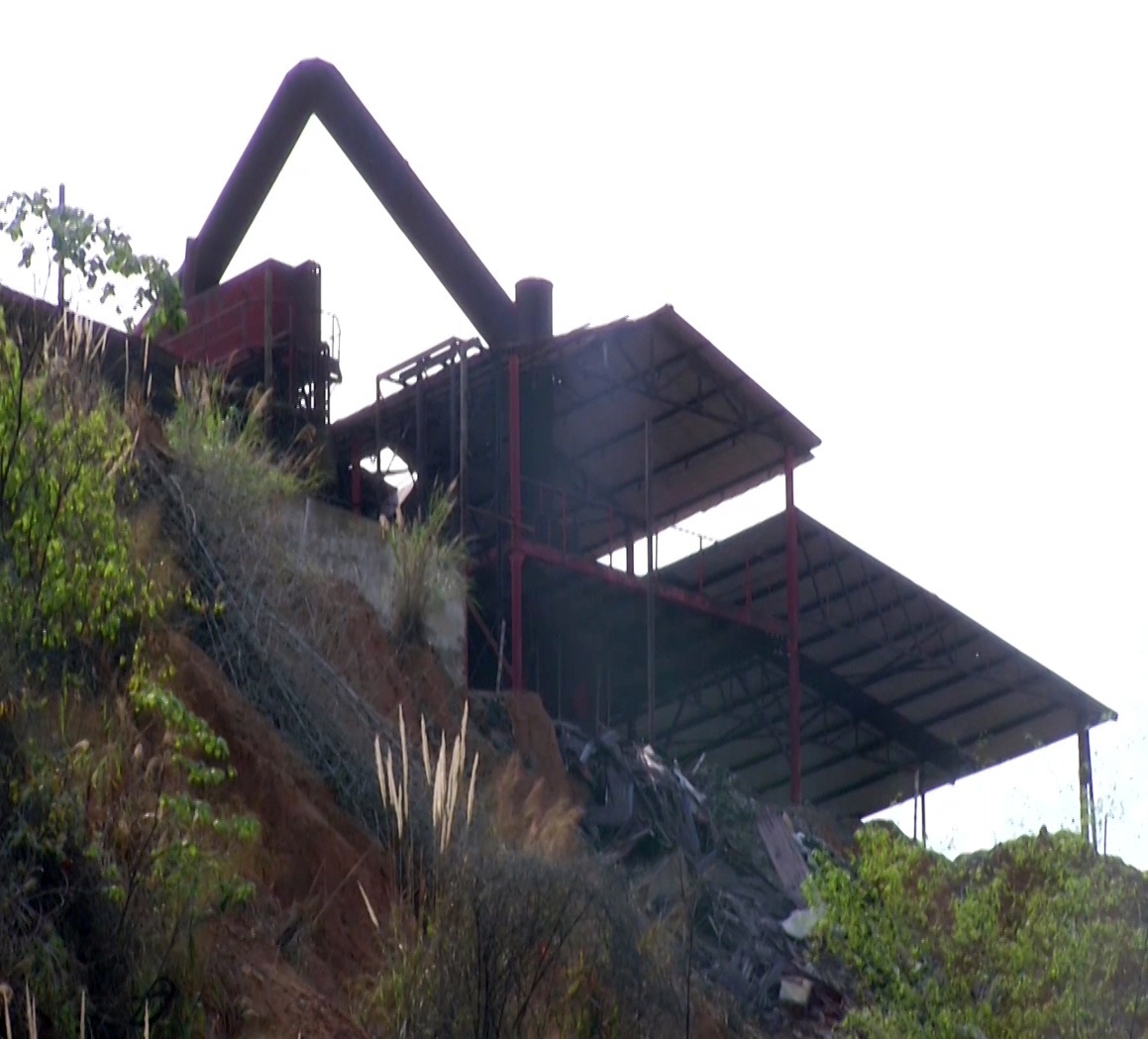 Cong bo nguyen nhan cay coi chet hang loat o Lao Cai hinh anh