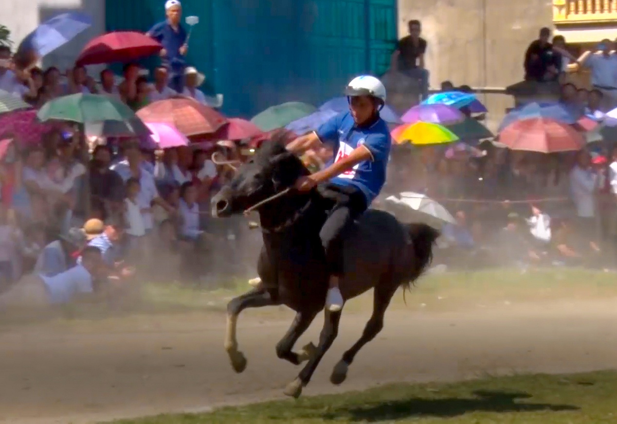 40.000 nguoi ‘doi nang’ xem dua ngua tren cao nguyen trang hinh anh