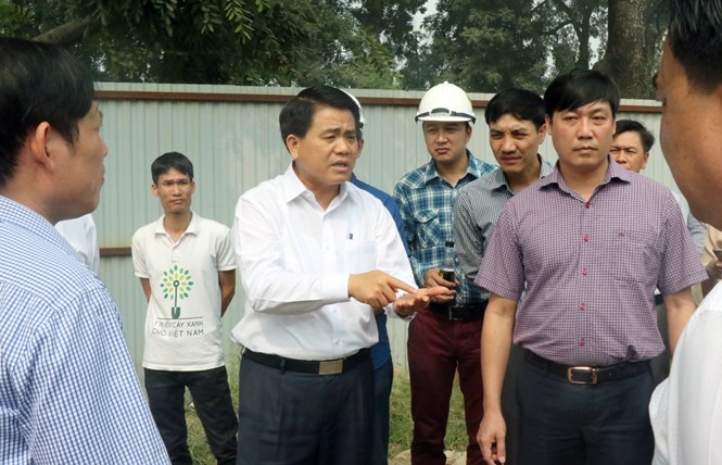 Chu tich Ha Noi kiem tra dot xuat viec chat ha cay xanh hinh anh