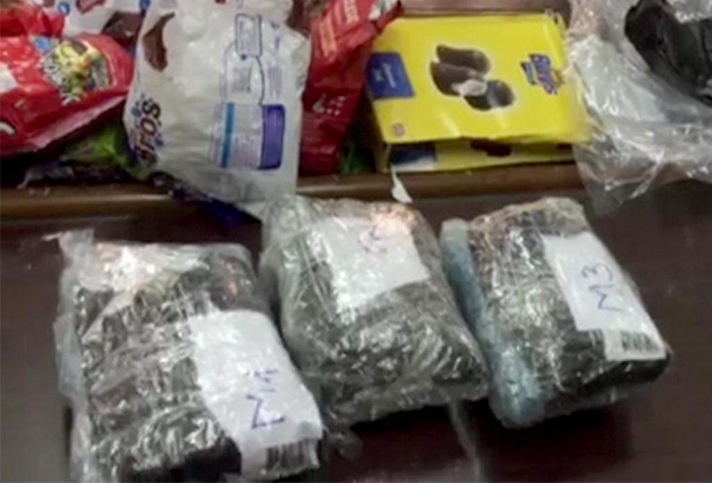 Thu hon 26.000 vien ma tuy van chuyen tu Ha Lan ve Viet Nam hinh anh