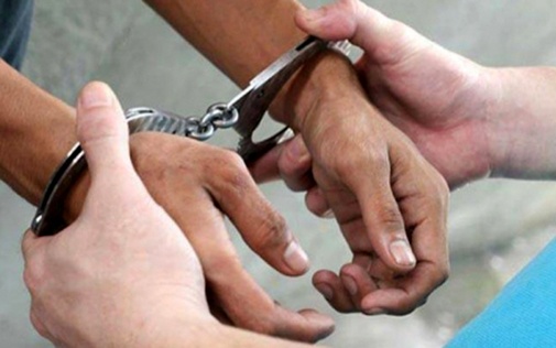 Nguyen Pho tong giam doc Vinacafe bi truy to hinh anh