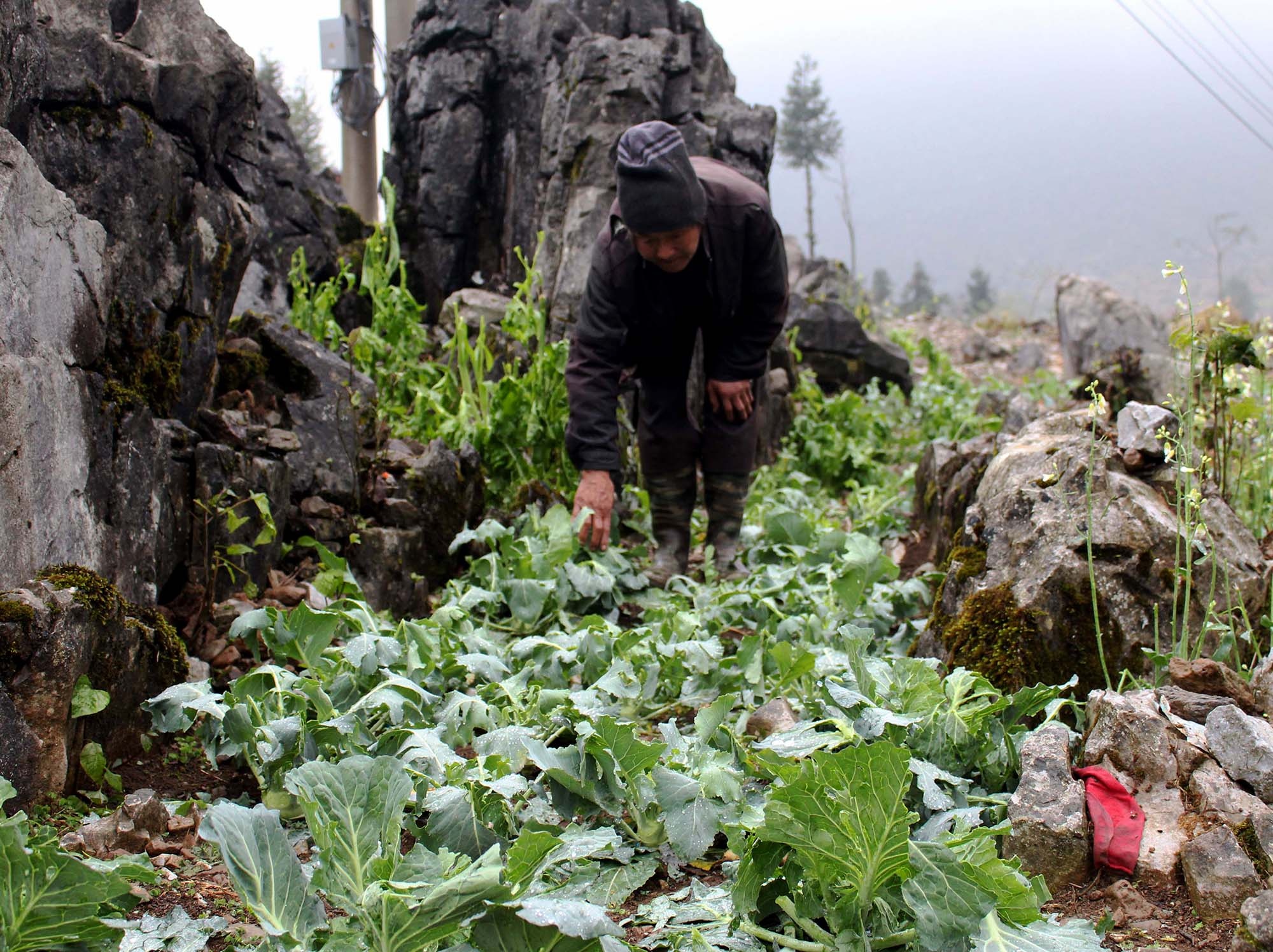 Mua da o Lao Cai anh 3