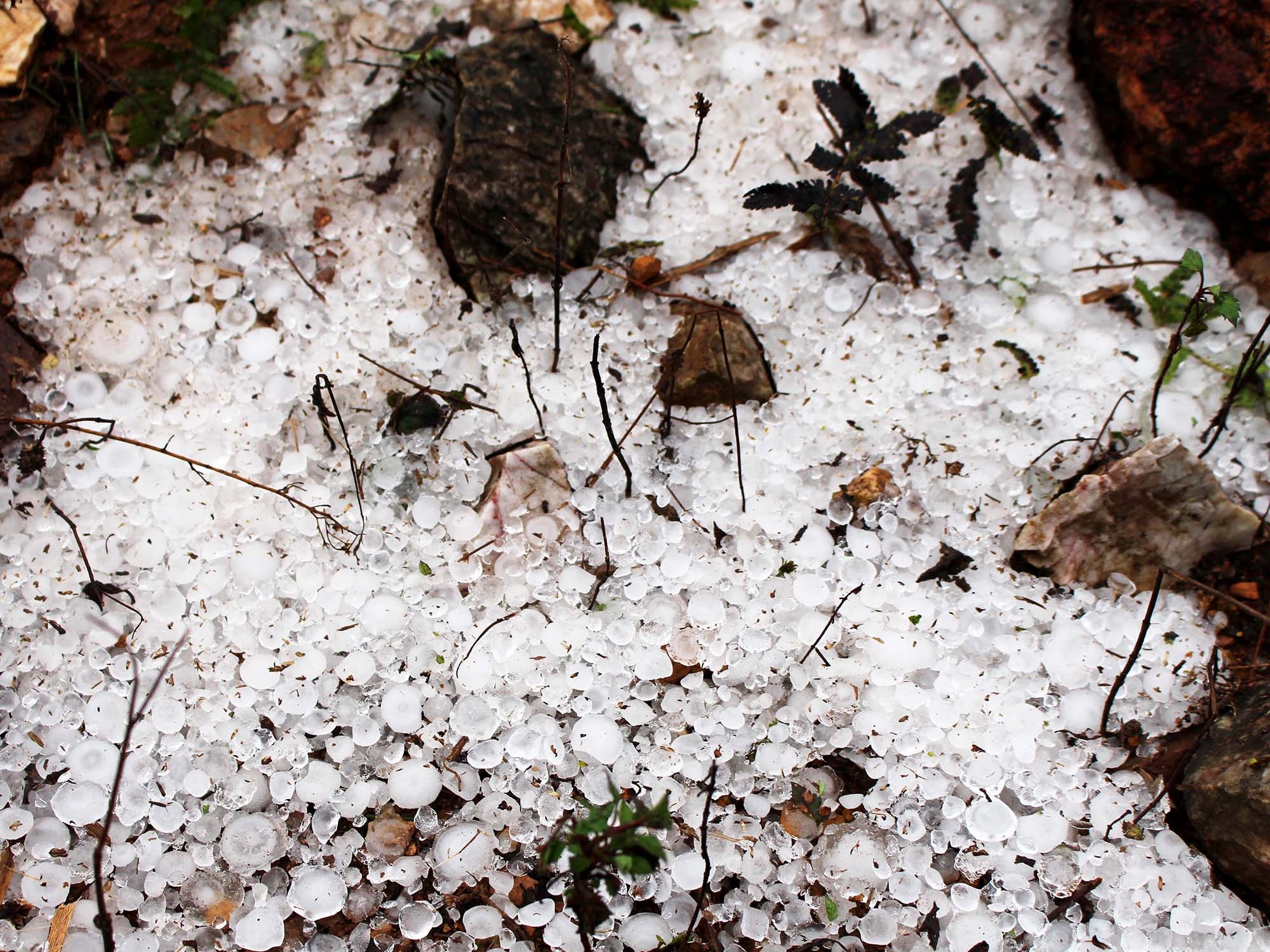 Mua da kem gio loc gay toc mai o Ha Giang hinh anh