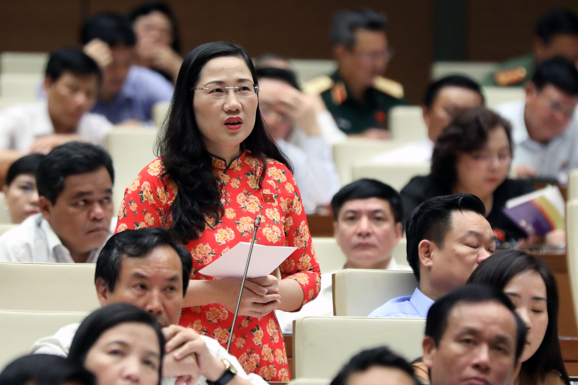 Quoc hoi thao luan ve luat dac khu anh 2