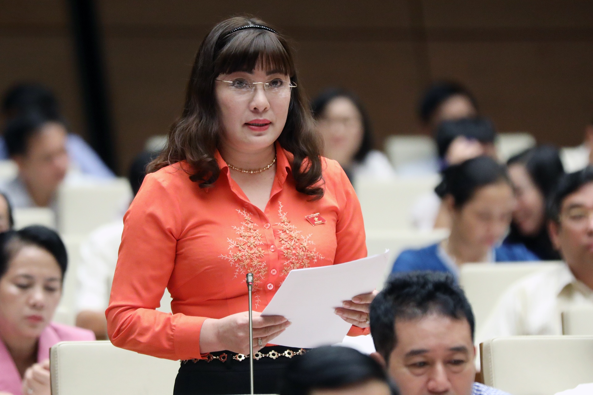 Quoc hoi thao luan ve luat dac khu anh 1