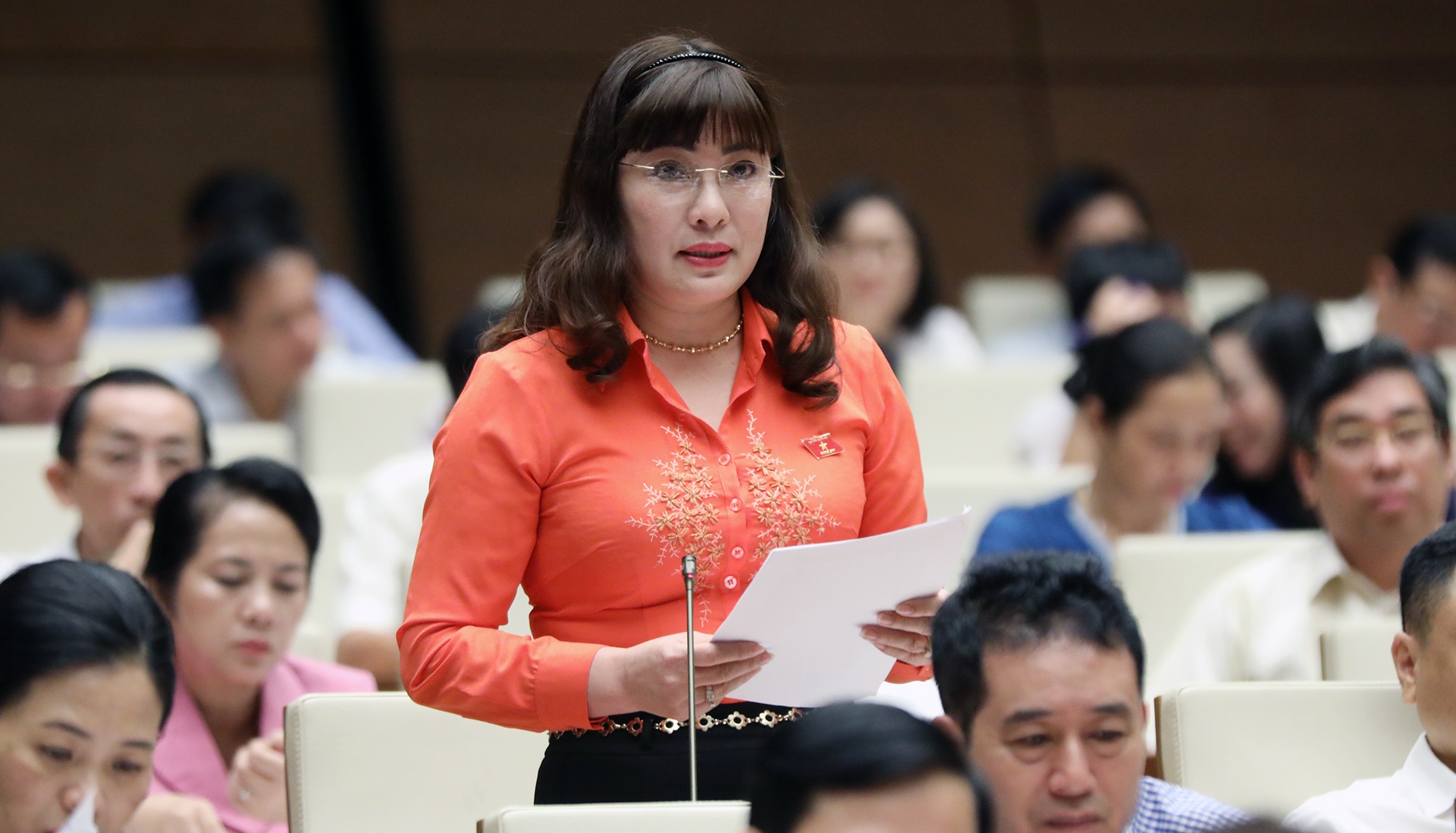 Dai bieu Quoc hoi lo nha dau tu chien luoc co the chi phoi dac khu hinh anh