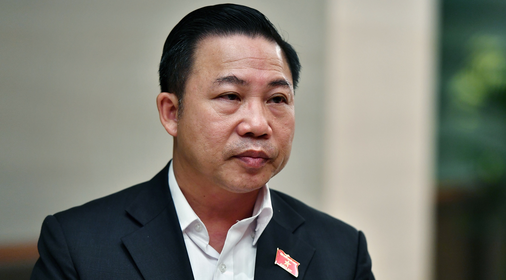 'He thong duong sat tu thoi mong muoi van van hanh' hinh anh