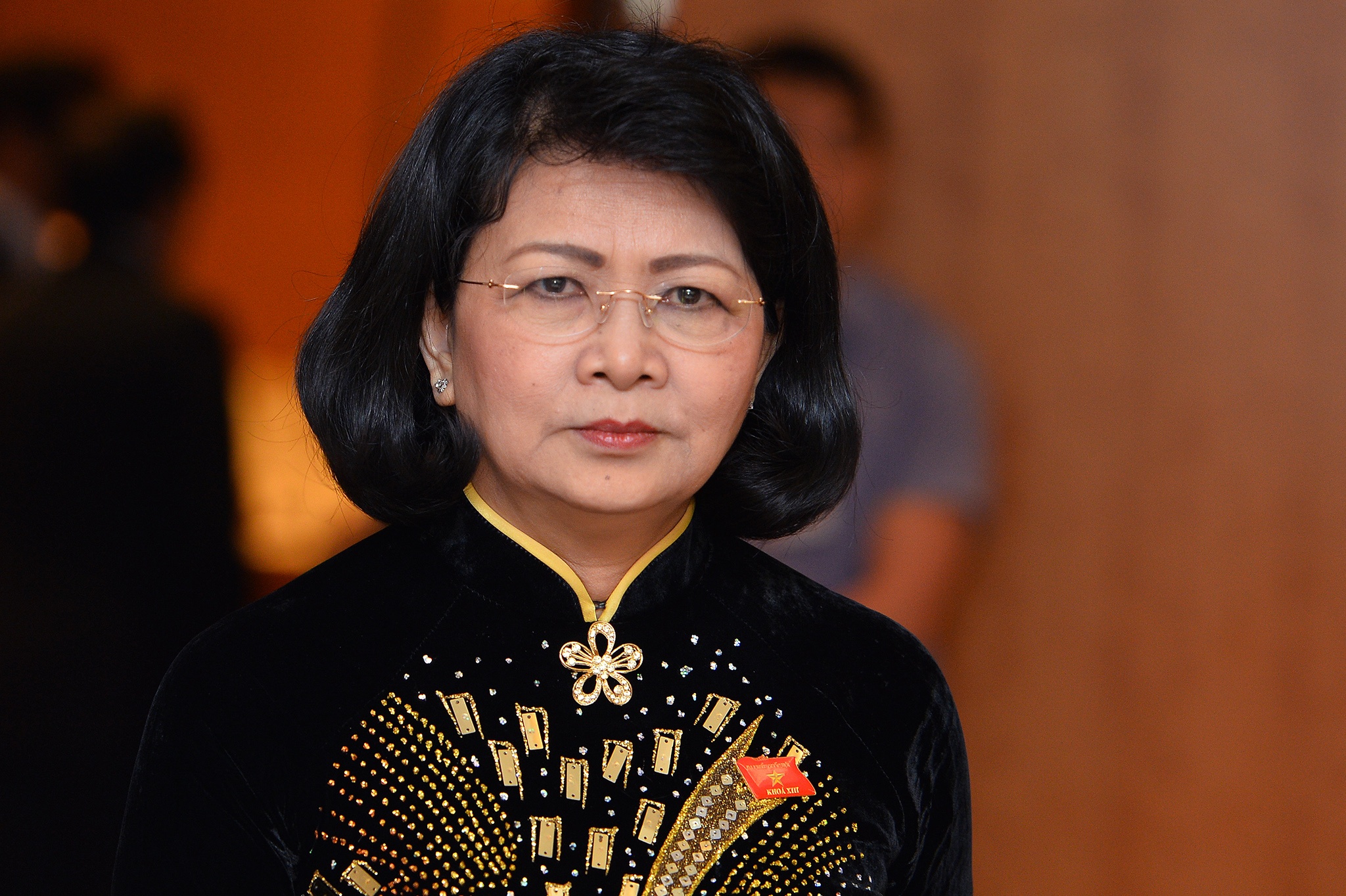 Quyen Chu tich nuoc Dang Thi Ngoc Thinh anh 1